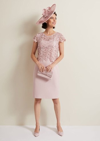 Phase Eight Daisy Lace Dress Pink USA | 6798310-QO